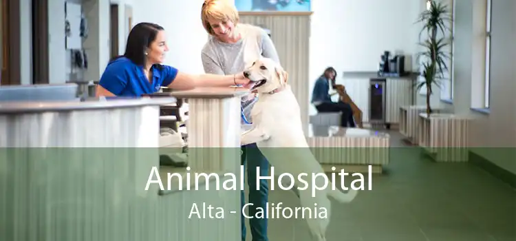 Animal Hospital Alta - California