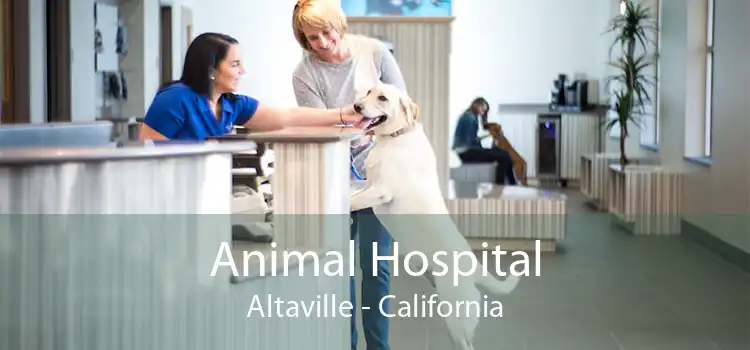 Animal Hospital Altaville - California