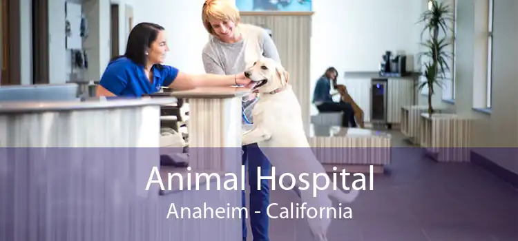 Animal Hospital Anaheim - California
