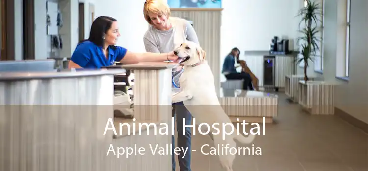Animal Hospital Apple Valley - California
