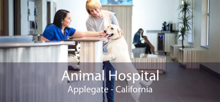 Animal Hospital Applegate - California