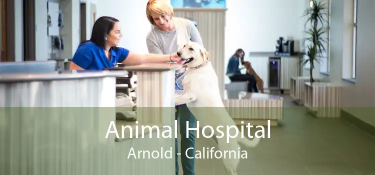 Animal Hospital Arnold - California