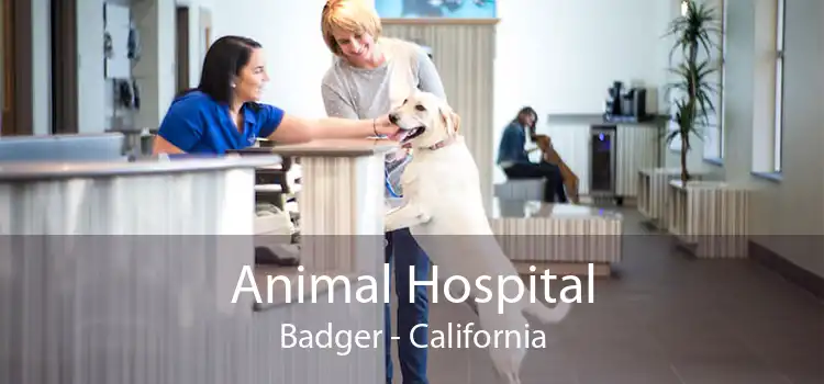 Animal Hospital Badger - California