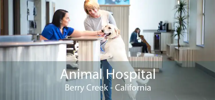 Animal Hospital Berry Creek - California