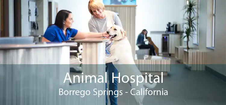 Animal Hospital Borrego Springs - California