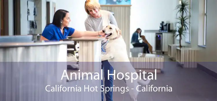 Animal Hospital California Hot Springs - California