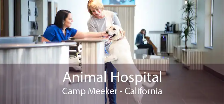 Animal Hospital Camp Meeker - California