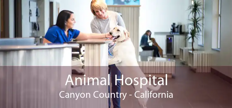 Animal Hospital Canyon Country - California