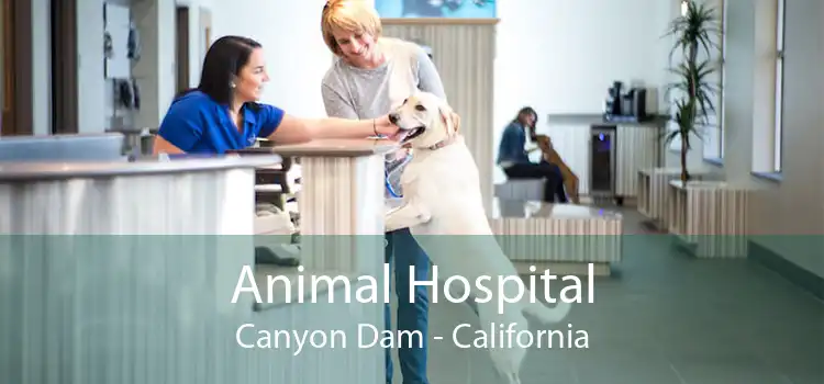 Animal Hospital Canyon Dam - California