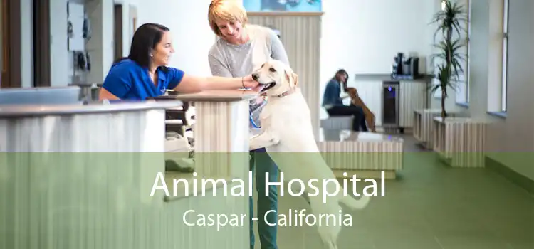 Animal Hospital Caspar - California