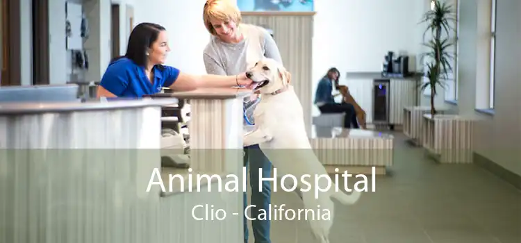 Animal Hospital Clio - California