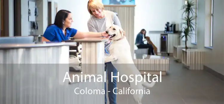 Animal Hospital Coloma - California