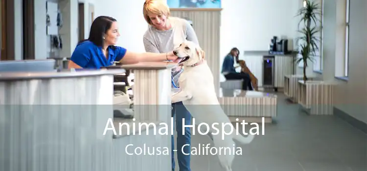 Animal Hospital Colusa - California