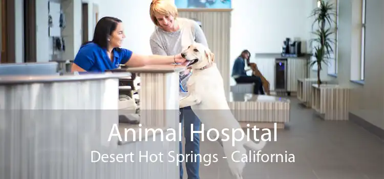 Animal Hospital Desert Hot Springs - California