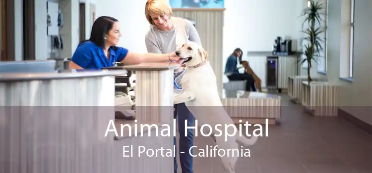 Animal Hospital El Portal - California