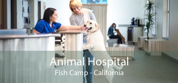 Animal Hospital Fish Camp - California