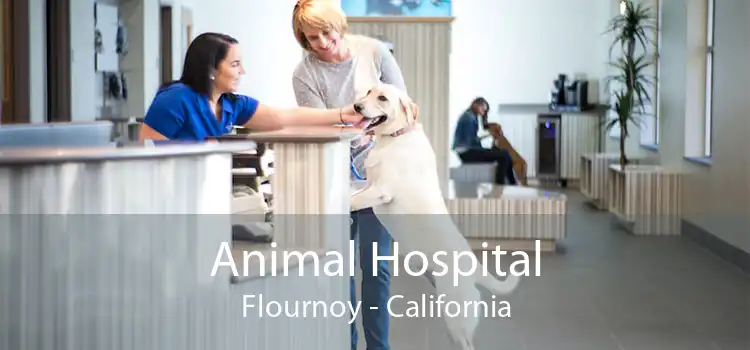 Animal Hospital Flournoy - California