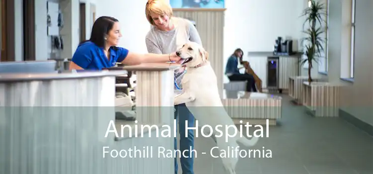 Animal Hospital Foothill Ranch - California