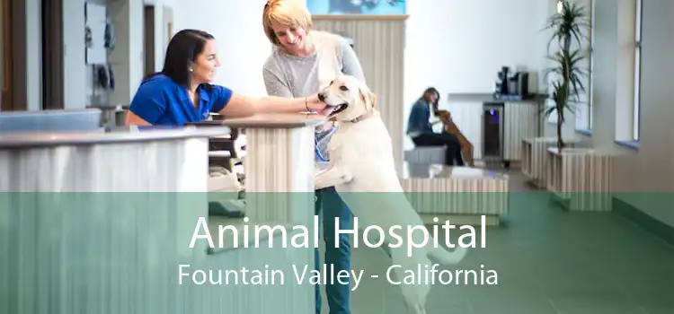 Animal Hospital Fountain Valley - California