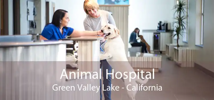 Animal Hospital Green Valley Lake - California