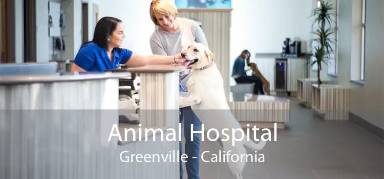 Animal Hospital Greenville - California