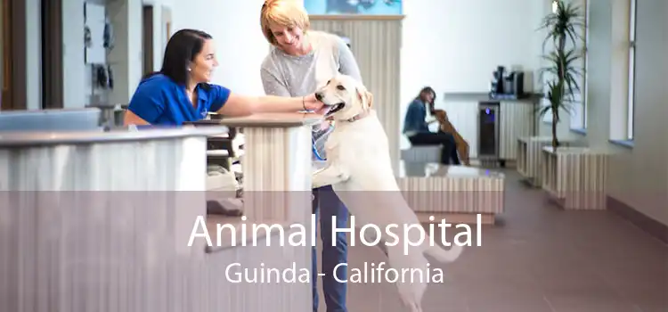 Animal Hospital Guinda - California