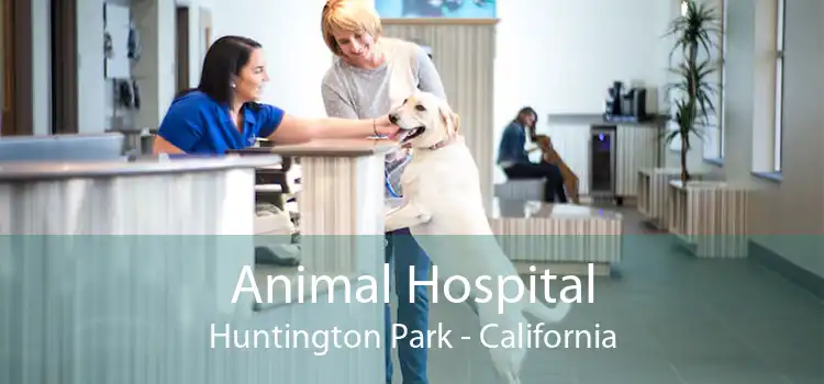 Animal Hospital Huntington Park - California