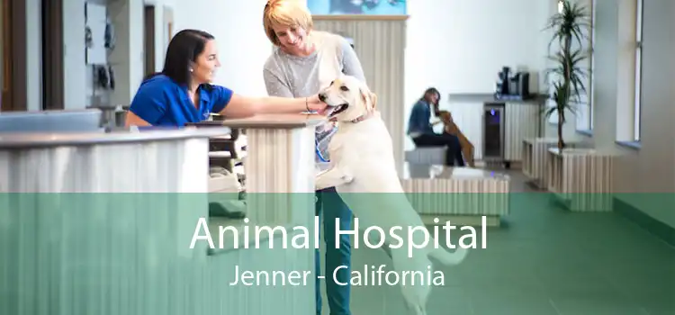 Animal Hospital Jenner - California