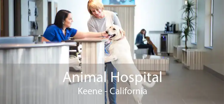 Animal Hospital Keene - California