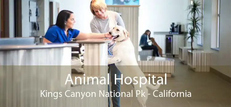 Animal Hospital Kings Canyon National Pk - California