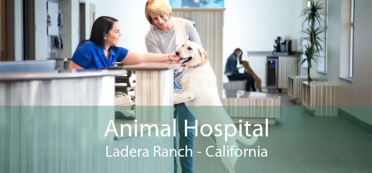 Animal Hospital Ladera Ranch - California