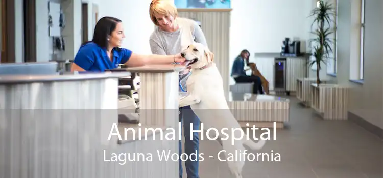 Animal Hospital Laguna Woods - California