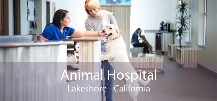 Animal Hospital Lakeshore - California