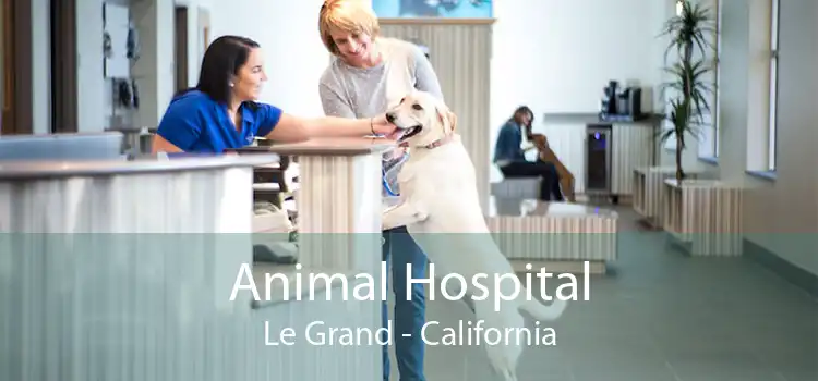 Animal Hospital Le Grand - California