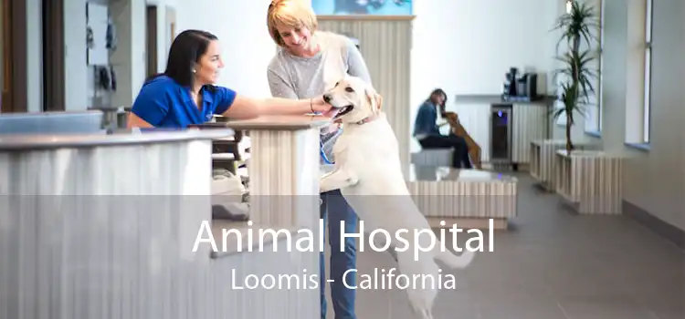 Animal Hospital Loomis - California