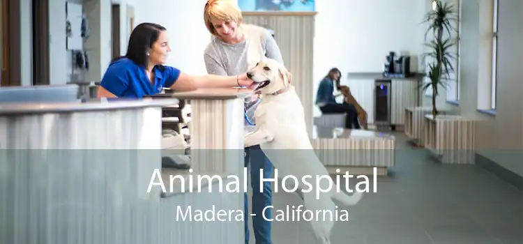 Animal Hospital Madera - California