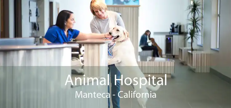 Animal Hospital Manteca - California