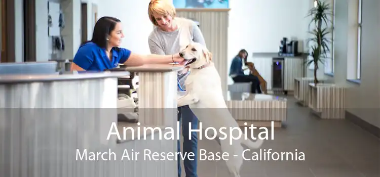 Animal Hospital March Air Reserve Base - California