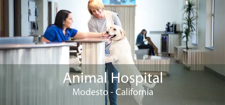 Animal Hospital Modesto - California