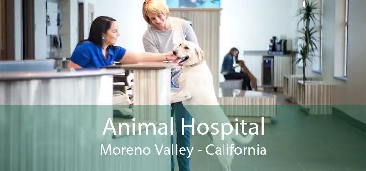 Animal Hospital Moreno Valley - California