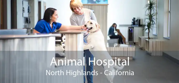 Animal Hospital North Highlands - California