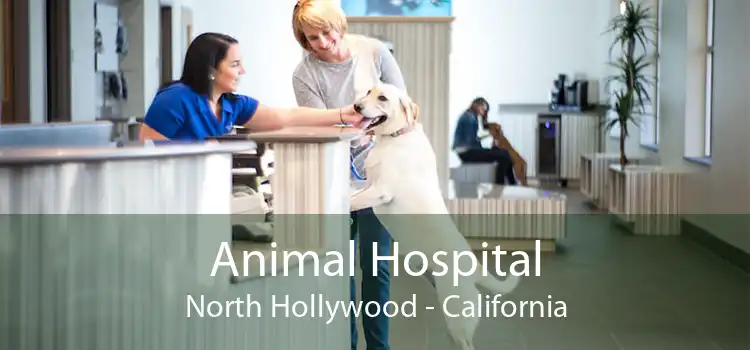 Animal Hospital North Hollywood - California