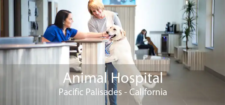 Animal Hospital Pacific Palisades - California