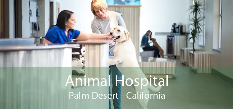 Animal Hospital Palm Desert - California