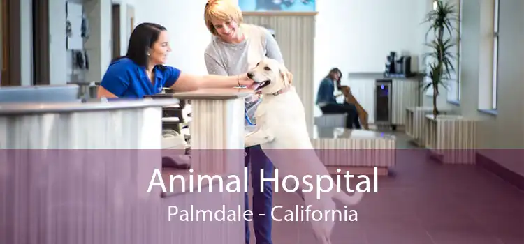 Animal Hospital Palmdale - California