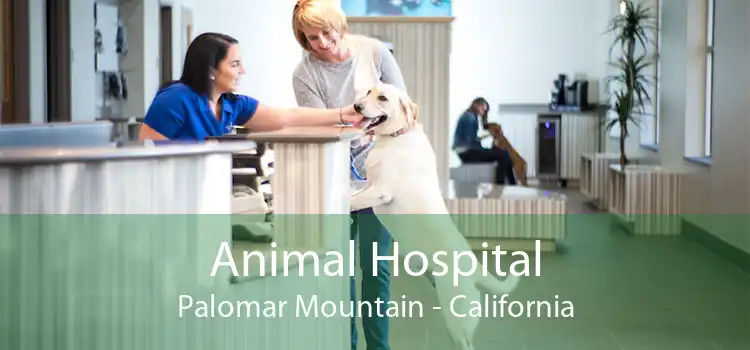 Animal Hospital Palomar Mountain - California