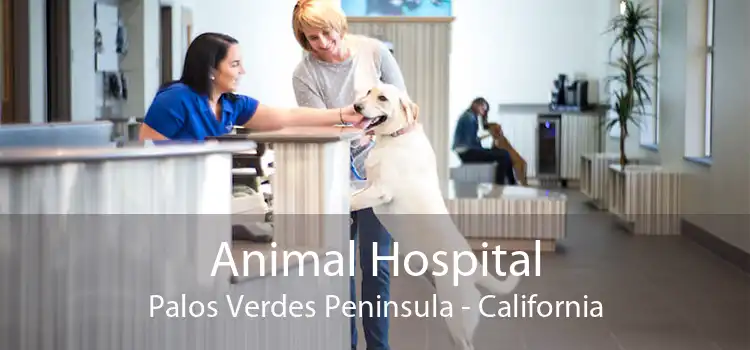 Animal Hospital Palos Verdes Peninsula - California