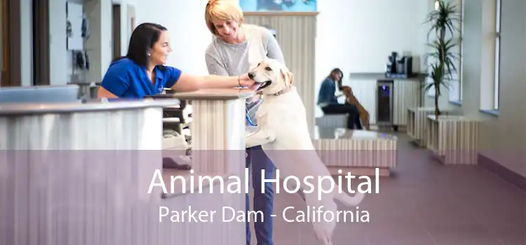 Animal Hospital Parker Dam - California