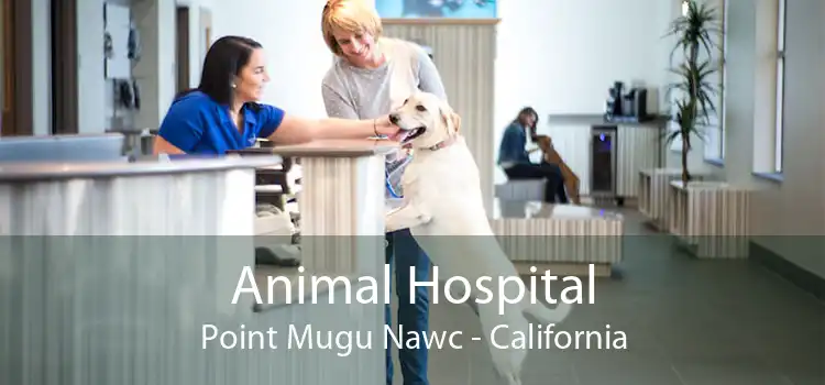 Animal Hospital Point Mugu Nawc - California