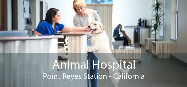 Animal Hospital Point Reyes Station - California